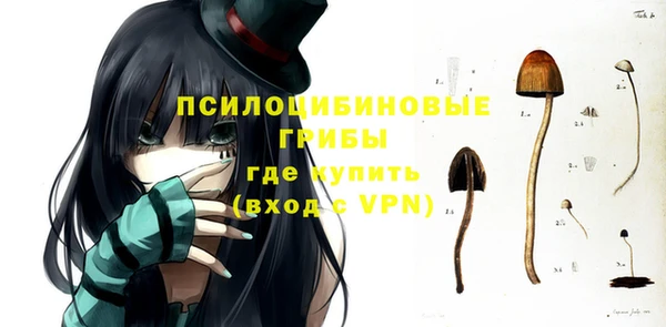 твердый Осташков