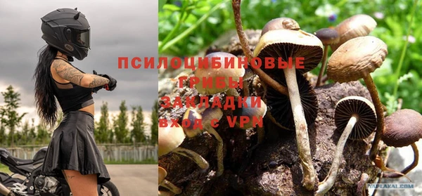 твердый Осташков