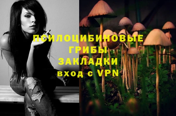 твердый Осташков