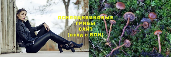 mdpv Осинники