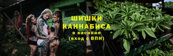 твердый Осташков
