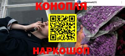 спиды Будённовск