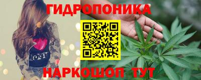 ALPHA PVP Гусев