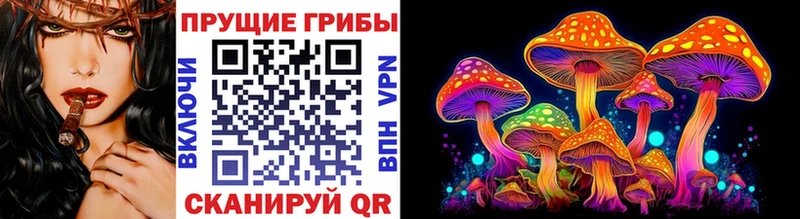 Псилоцибиновые грибы GOLDEN TEACHER  Кулебаки 