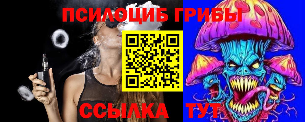 Кулебаки  Галлюциногенные грибы Psilocybine cubensis  Вход с VPN  Псилоцибиновые грибы Psilocybine cubensis 