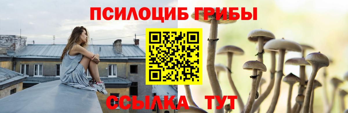 Псилоцибиновые грибы мухоморы Кулебаки